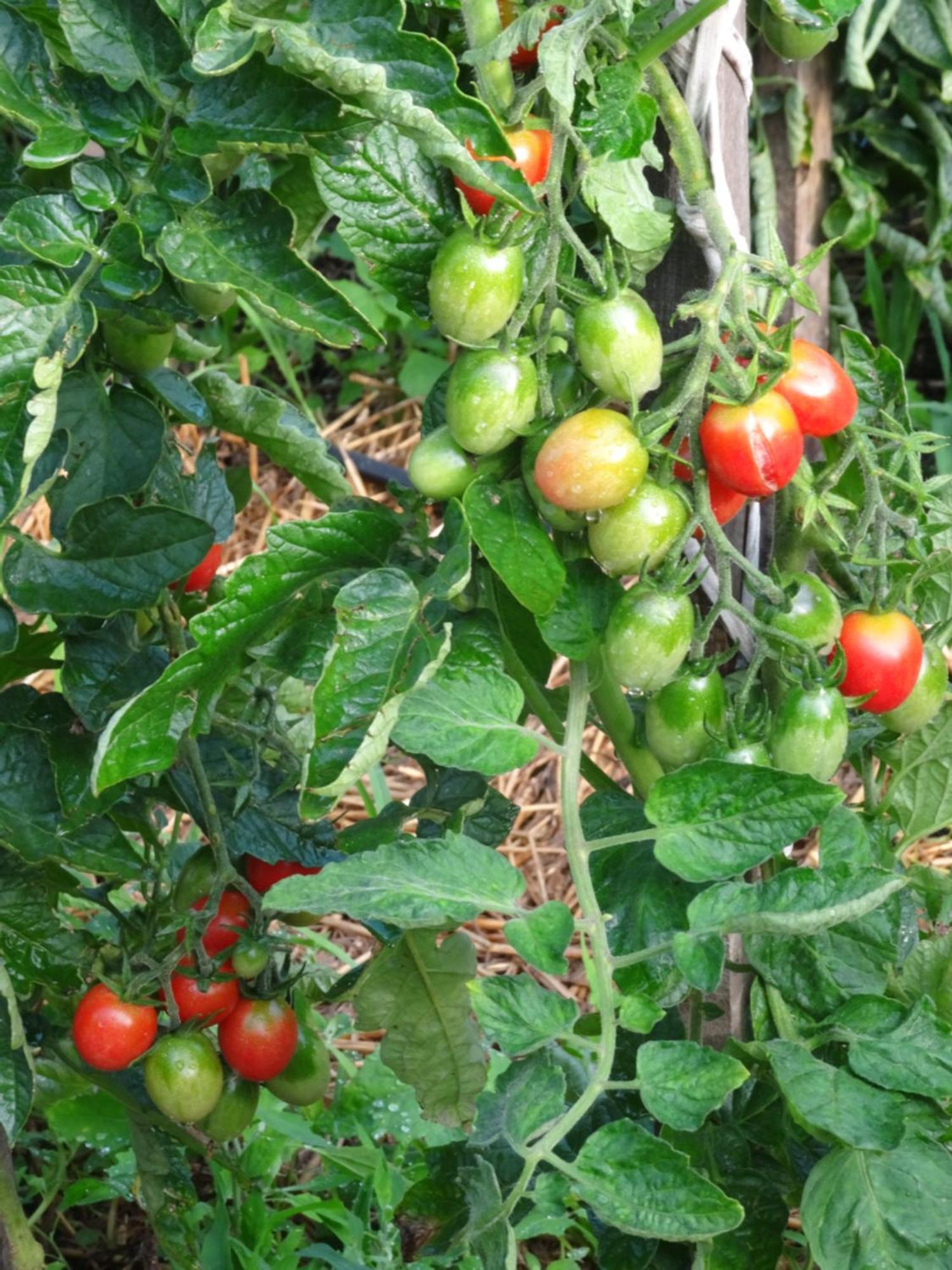 Palac Cielesnica Ngoại thất bức ảnh